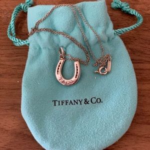 16’ inch lucky horseshoe Tiffany necklace